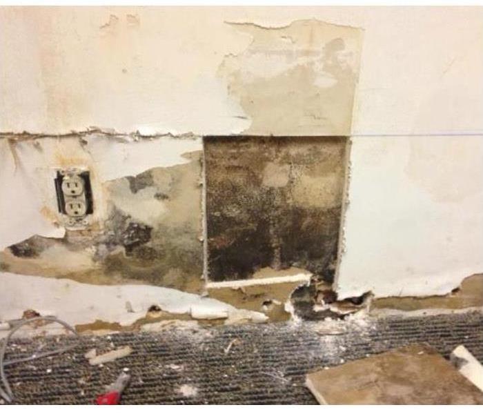 Mold damage on a wall