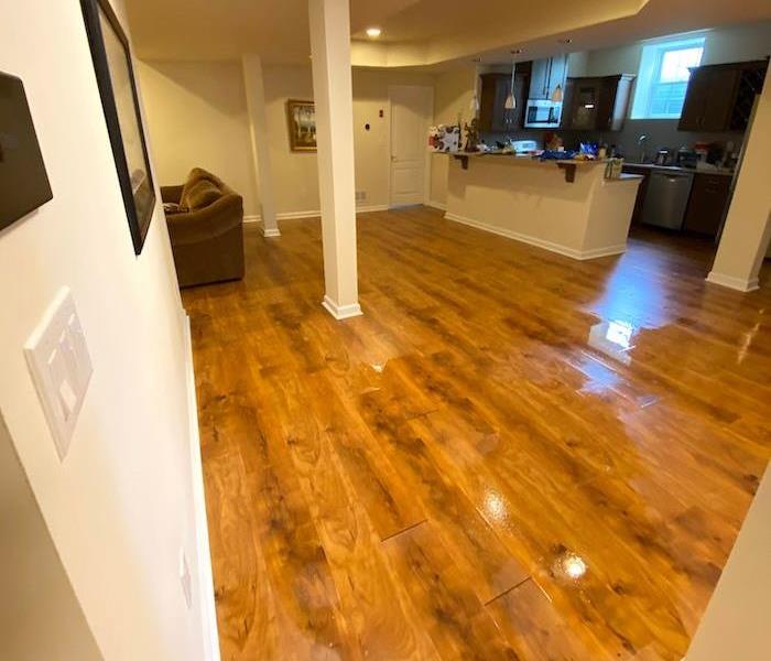 Living room and kitchen with standing water on a hardwood floor