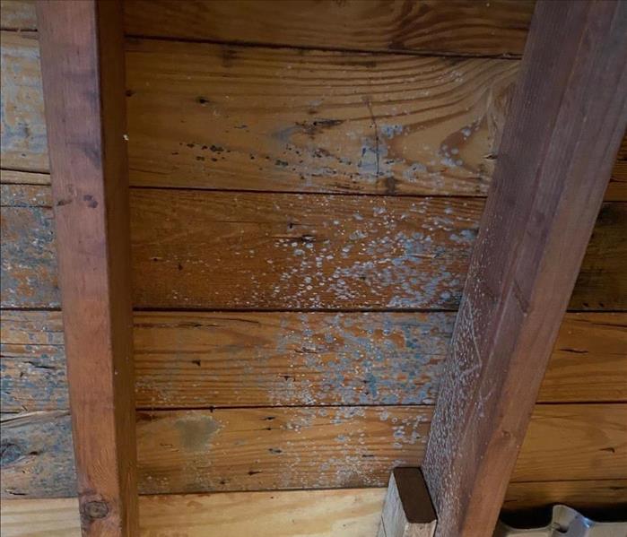 Mold growth on framing wood in an attic